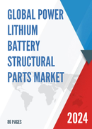 Global Power Lithium Battery Structural Parts Market Research Report 2022