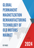 Global Permanent Magnetization Remanufacturing Technology of Old Motors Market Research Report 2024