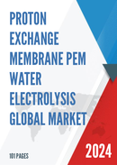 Global Proton Exchange Membrane PEM Water Electrolysis Market Research Report 2022