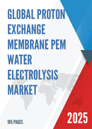 Global Proton Exchange Membrane PEM Water Electrolysis Market Research Report 2022