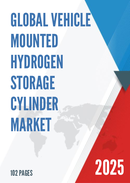 Global Vehicle mounted Hydrogen Storage Cylinder Market Research Report 2024