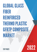 Global Glass Fiber Reinforced Thermo Plastic GFRTP Composite Market Outlook 2022