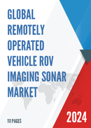 Global Remotely Operated Vehicle ROV Imaging Sonar Market Research Report 2023