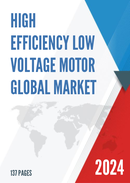 Global High Efficiency Low Voltage Motor Market Research Report 2023