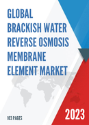 Global Brackish Water Reverse Osmosis Membrane Element Market Research Report 2023