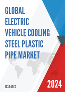 Global Electric Vehicle Cooling Steel Plastic Pipe Market Research Report 2024