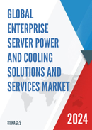 Global Enterprise Server Power and Cooling Solutions and Services Industry Research Report Growth Trends and Competitive Analysis 2022 2028