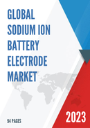 Global Sodium Ion Battery Electrode Market Research Report 2022