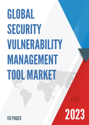 Global Security Vulnerability Management Tool Market Research Report 2022