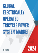 Global Electrically Operated Tricycle Power System Market Research Report 2024