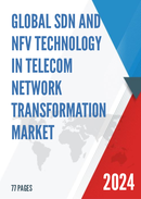 Global SDN and NFV Technology in Telecom Network Transformation Market Insights Forecast to 2028