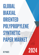 Global Biaxial Oriented Polypropylene Synthetic Paper Market Research Report 2023