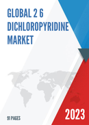Global 2 3 Dichloropyridine Market Insights Forecast to 2028