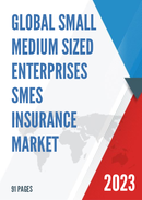 Global Small Medium Sized Enterprises SMEs Insurance Market Insights Forecast to 2028