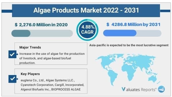 algae products market