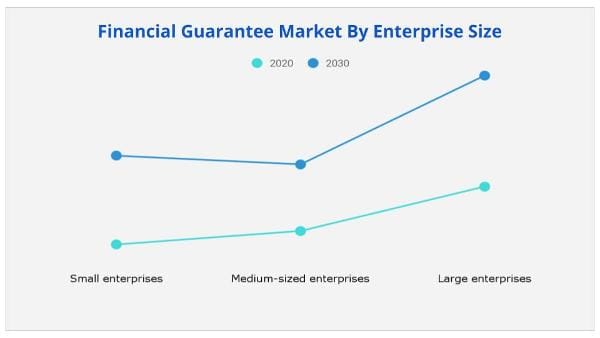 Financial Guarantee Market by Enterprise