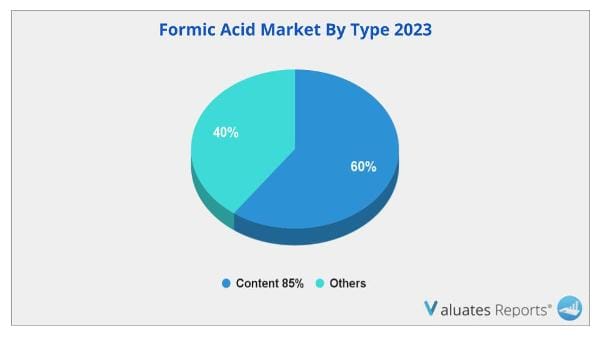 Formic Acid Market By Type