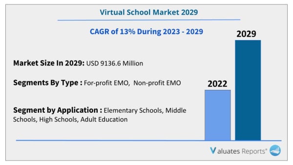virtual schools market