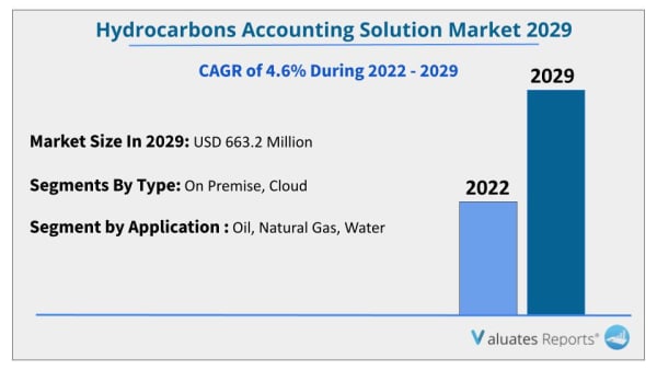 hydrocarbons accounting solution market