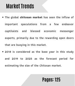 Chitosan market outlook