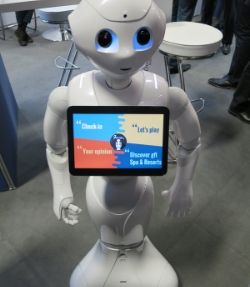 Humanoid Robots Market 